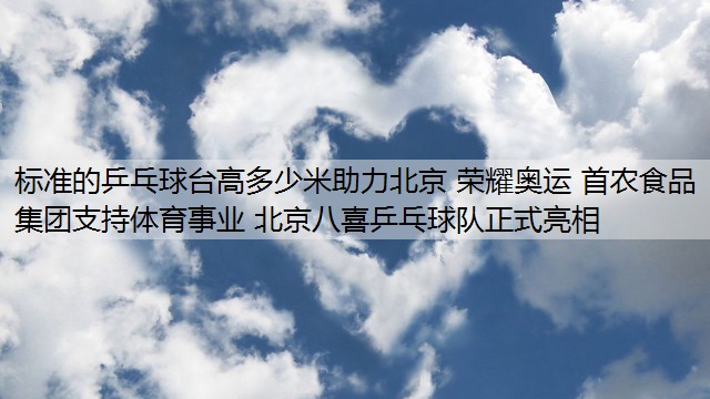 标准的乒乓球台高多少米助力北京 荣耀奥运 首农食品集团支持体育事业 北京八喜乒乓球队正式亮相