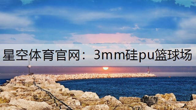 3mm硅pu篮球场