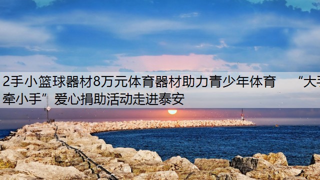 2手小篮球器材8万元体育器材助力青少年体育　“大手牵小手”爱心捐助活动走进泰安