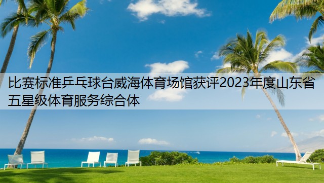 比赛标准乒乓球台威海体育场馆获评2023年度山东省五星级体育服务综合体