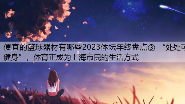 便宜的篮球器材有哪些2023体坛年终盘点③ “处处可健身”，体育正成为上海市民的生活方式